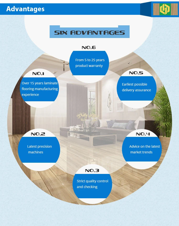 Plastic/Fiberboard/Wood/PVC/WPC/MDF/Solid/Vinyl/Laminate T-Mold/Reducer/Quarter Round/Stair Nosing/Skirting Board Wall/Spc Flooring